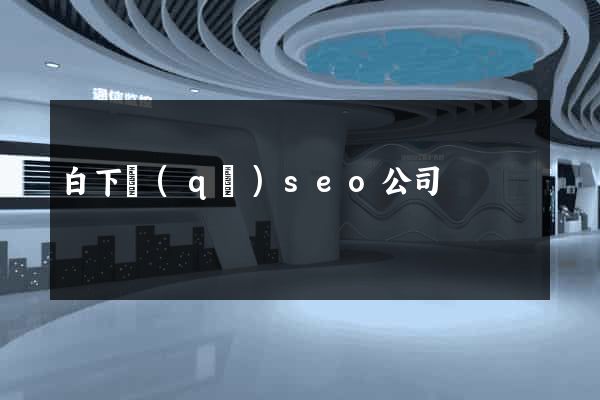 白下區(qū)seo公司
