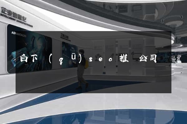 白下區(qū)seo推廣公司