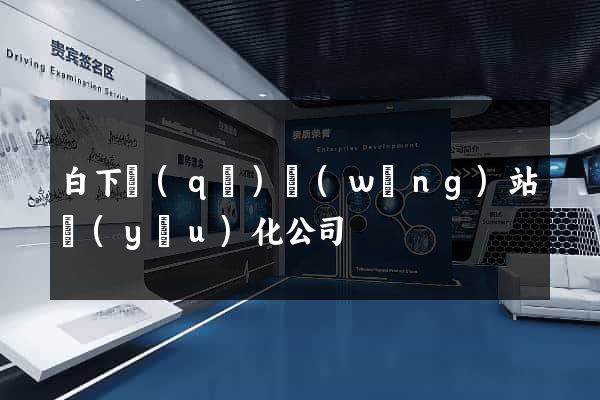 白下區(qū)網(wǎng)站優(yōu)化公司