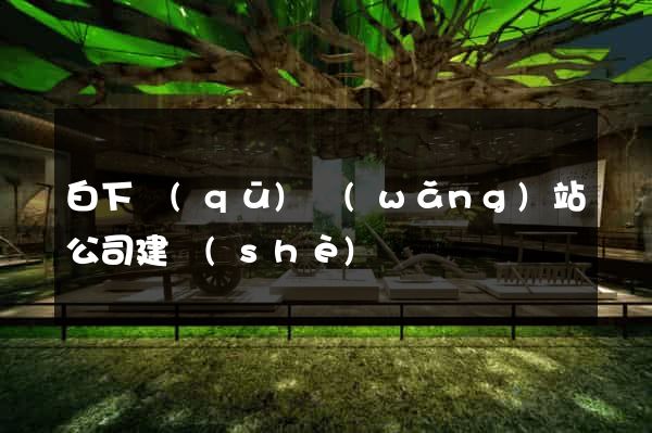 白下區(qū)網(wǎng)站公司建設(shè)