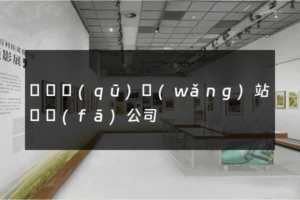 盧灣區(qū)網(wǎng)站開發(fā)公司