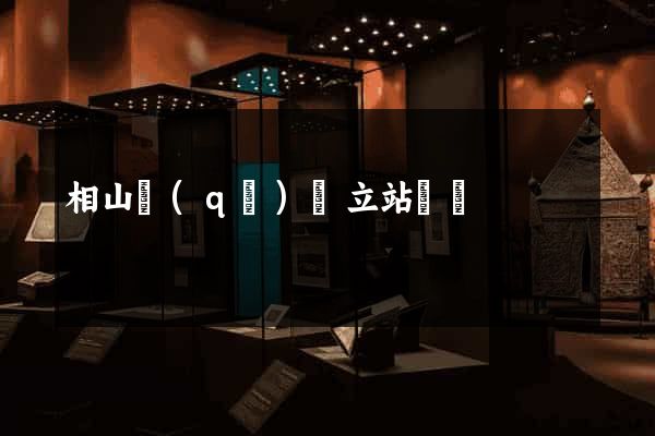 相山區(qū)獨立站運營