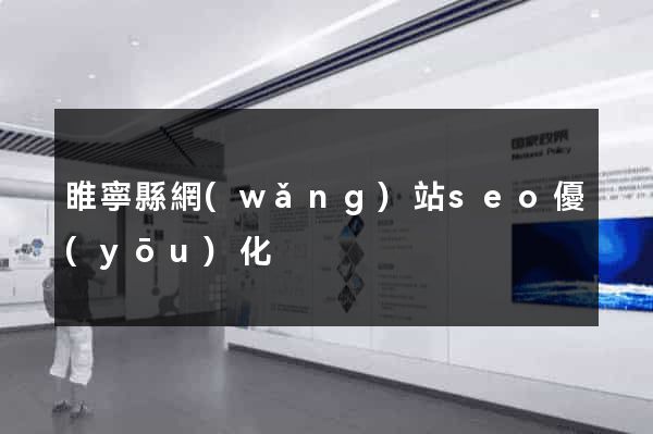 睢寧縣網(wǎng)站seo優(yōu)化