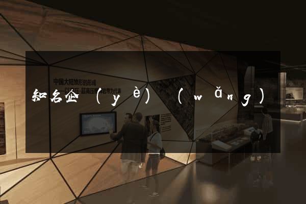 知名企業(yè)網(wǎng)頁