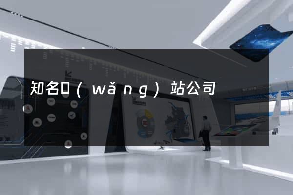 知名網(wǎng)站公司