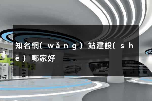 知名網(wǎng)站建設(shè)哪家好