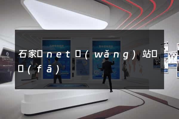 石家莊net網(wǎng)站開發(fā)