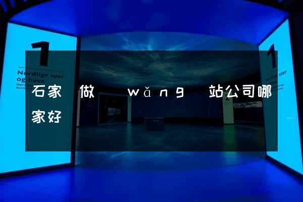 石家莊做網(wǎng)站公司哪家好