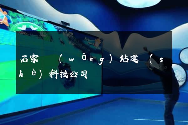 石家莊網(wǎng)站建設(shè)科技公司