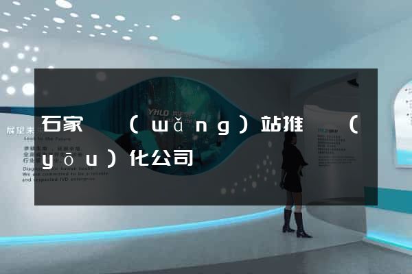 石家莊網(wǎng)站推廣優(yōu)化公司