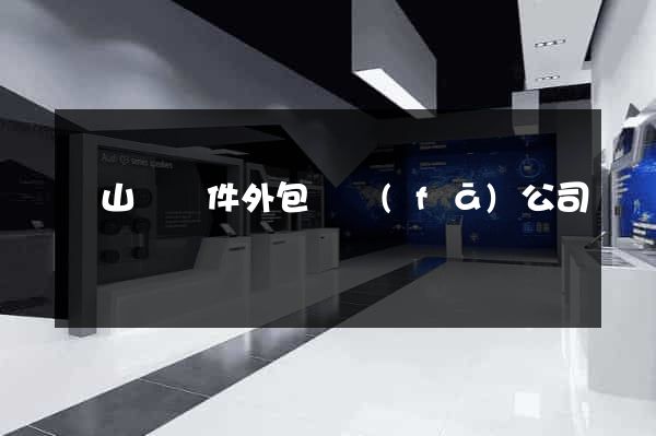 碭山縣軟件外包開發(fā)公司
