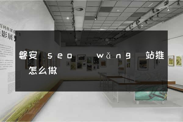 磐安縣seo網(wǎng)站推廣怎么做