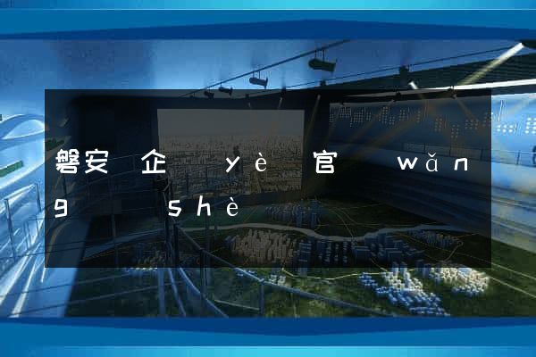磐安縣企業(yè)官網(wǎng)設(shè)計