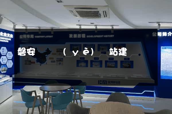 磐安縣專業(yè)網站建設