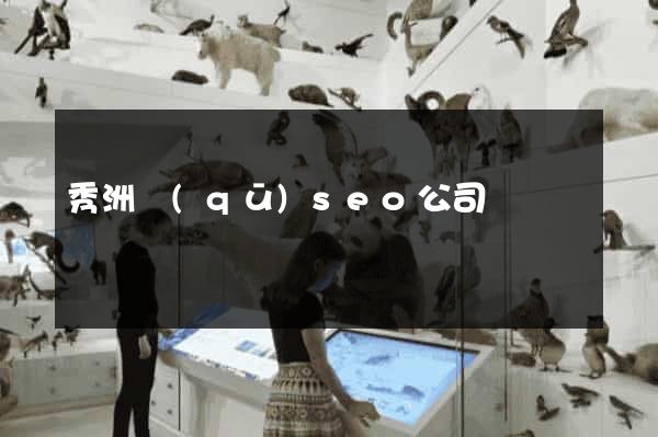 秀洲區(qū)seo公司