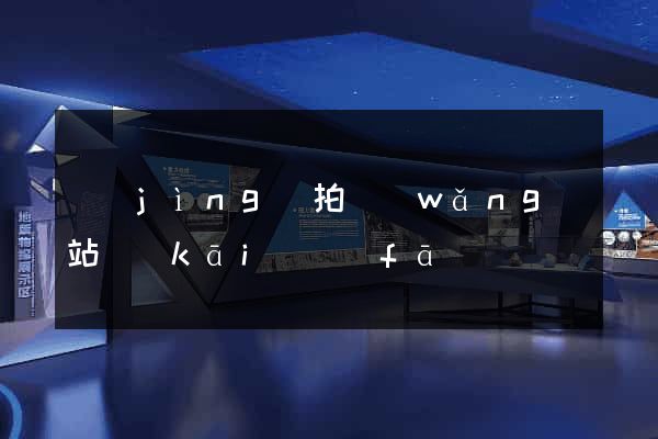 競(jìng)拍網(wǎng)站開(kāi)發(fā)