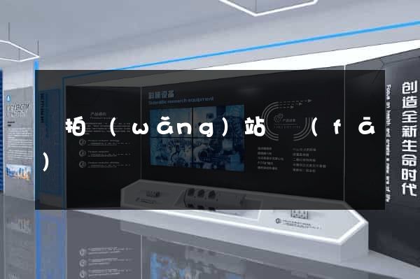 競拍網(wǎng)站開發(fā)