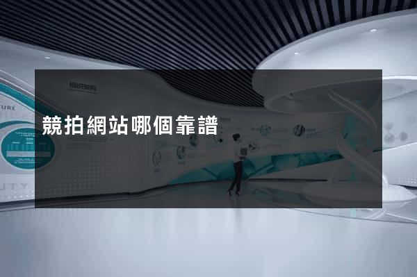 競拍網站哪個靠譜