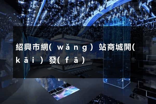 紹興市網(wǎng)站商城開(kāi)發(fā)