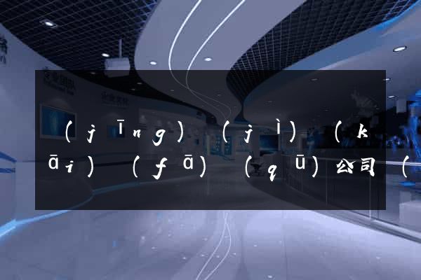 經(jīng)濟(jì)開(kāi)發(fā)區(qū)公司網(wǎng)站怎么做