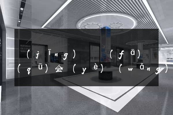 經(jīng)濟開發(fā)區(qū)企業(yè)網(wǎng)站設計