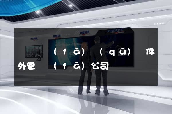 經濟開發(fā)區(qū)軟件外包開發(fā)公司