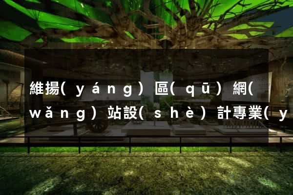 維揚(yáng)區(qū)網(wǎng)站設(shè)計專業(yè)的公司