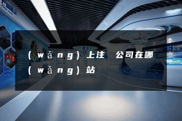 網(wǎng)上注冊公司在哪個網(wǎng)站