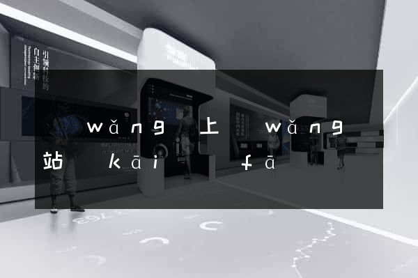 網(wǎng)上網(wǎng)站開(kāi)發(fā)
