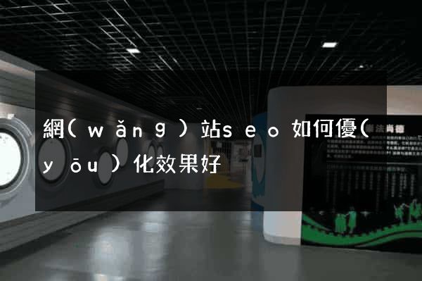 網(wǎng)站seo如何優(yōu)化效果好