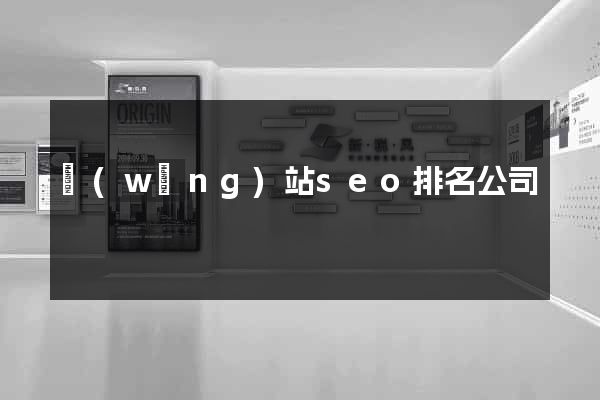 網(wǎng)站seo排名公司
