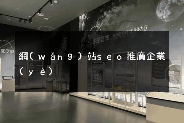 網(wǎng)站seo推廣企業(yè)