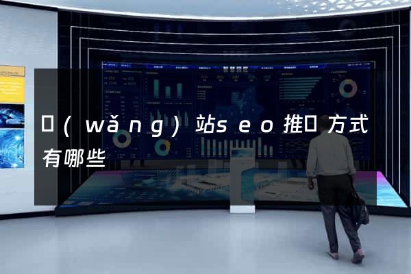 網(wǎng)站seo推廣方式有哪些