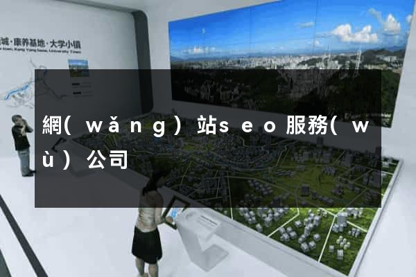 網(wǎng)站seo服務(wù)公司