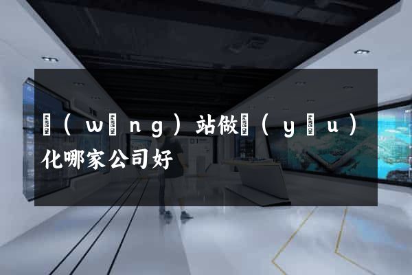 網(wǎng)站做優(yōu)化哪家公司好