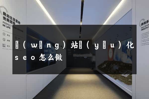 網(wǎng)站優(yōu)化seo怎么做