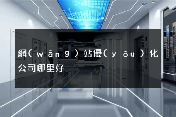網(wǎng)站優(yōu)化公司哪里好