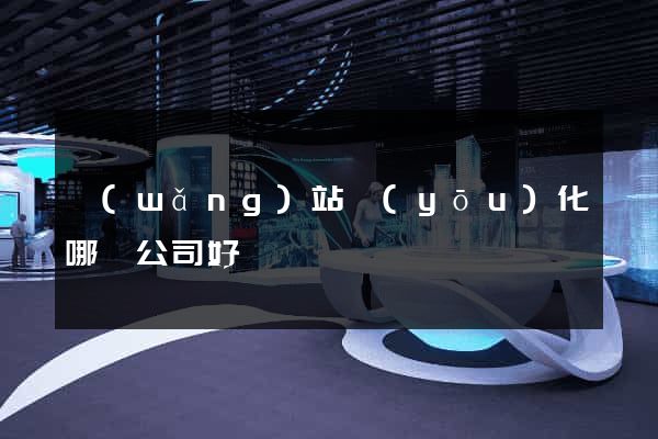 網(wǎng)站優(yōu)化哪個公司好