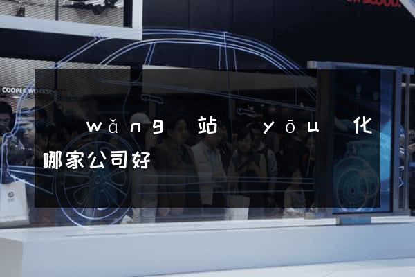 網(wǎng)站優(yōu)化哪家公司好