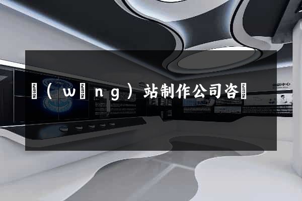 網(wǎng)站制作公司咨詢