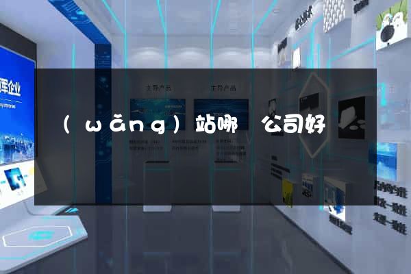 網(wǎng)站哪個公司好