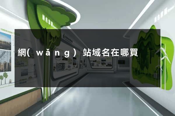 網(wǎng)站域名在哪買