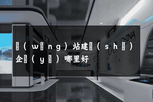 網(wǎng)站建設(shè)企業(yè)哪里好