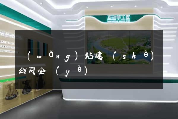 網(wǎng)站建設(shè)公司企業(yè)
