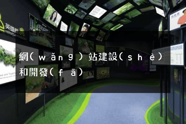 網(wǎng)站建設(shè)和開發(fā)