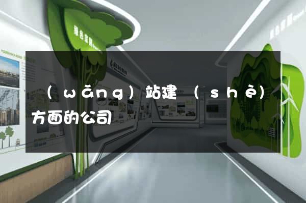 網(wǎng)站建設(shè)方面的公司