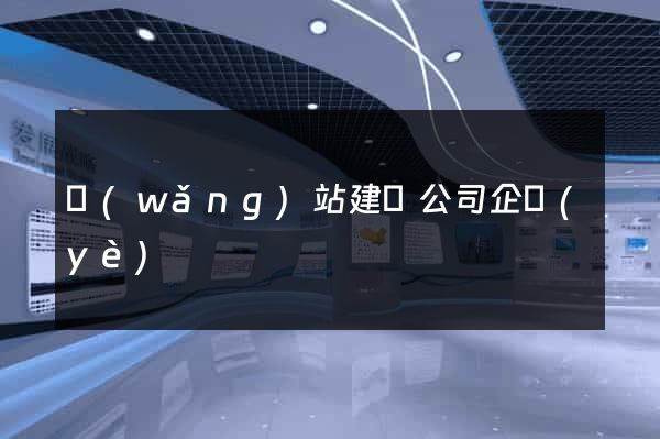 網(wǎng)站建設公司企業(yè)