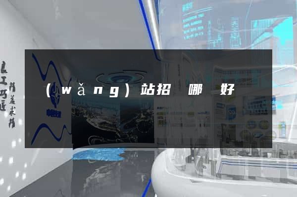 網(wǎng)站招標哪個好
