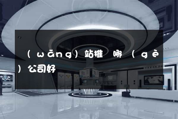 網(wǎng)站推廣哪個(gè)公司好