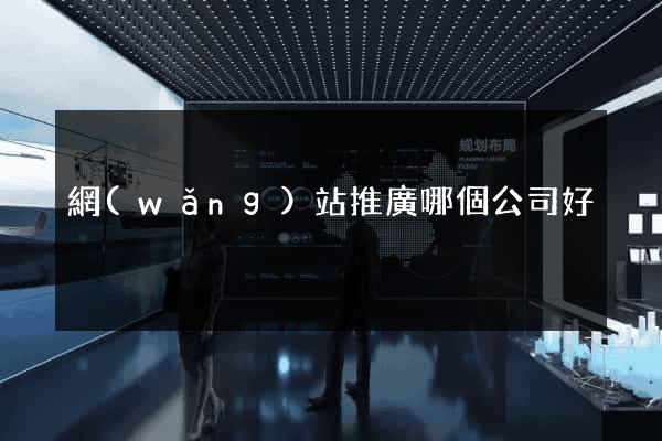 網(wǎng)站推廣哪個公司好